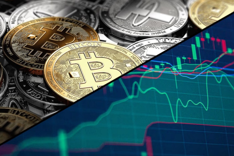 im-661003_副本.jpg im-661003_副本.jpg