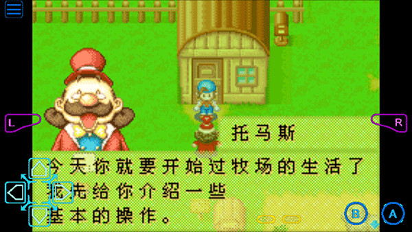 牧场物语矿石镇的伙伴们金手指手机版