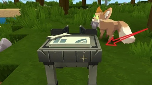 迷你世界雨林版本