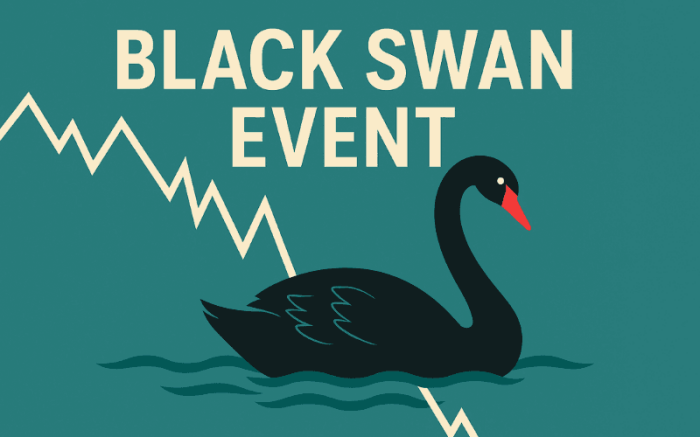 black_swan_event_968b8b6469_副本.png