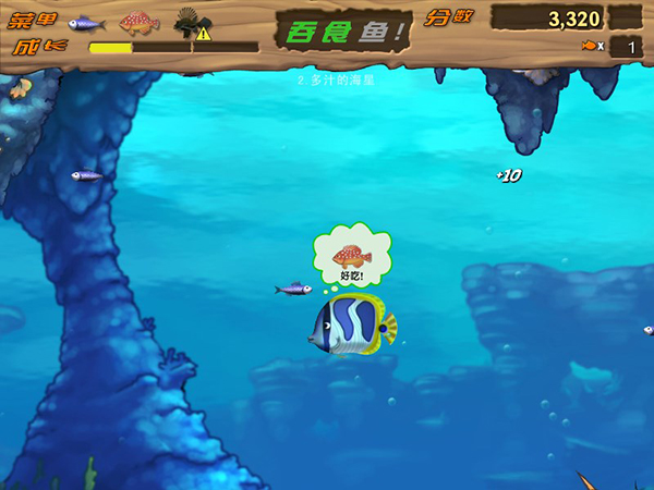 大鱼吃小鱼真人版图片5