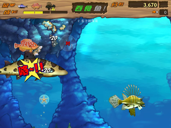 大鱼吃小鱼真人版图片6