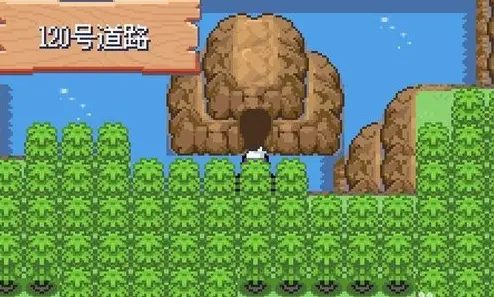 口袋妖怪漆黑的魅影怎么抓超梦4