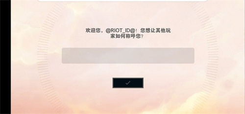 金铲铲之战测试服