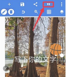 pixellab中文版1.8.8安卓版(字体自义)