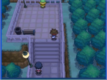 口袋妖怪黑白2下载