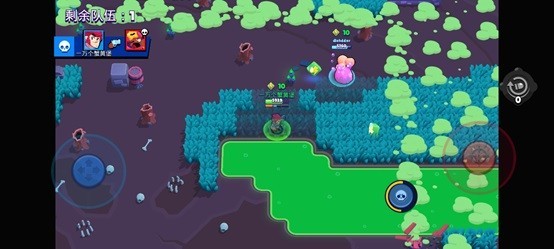 荒野乱斗体验服19赛季