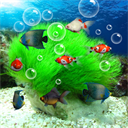 水族馆动态壁纸软件安卓版下载-水族馆动态壁纸汉化版下载桌面屏保v5.6.3